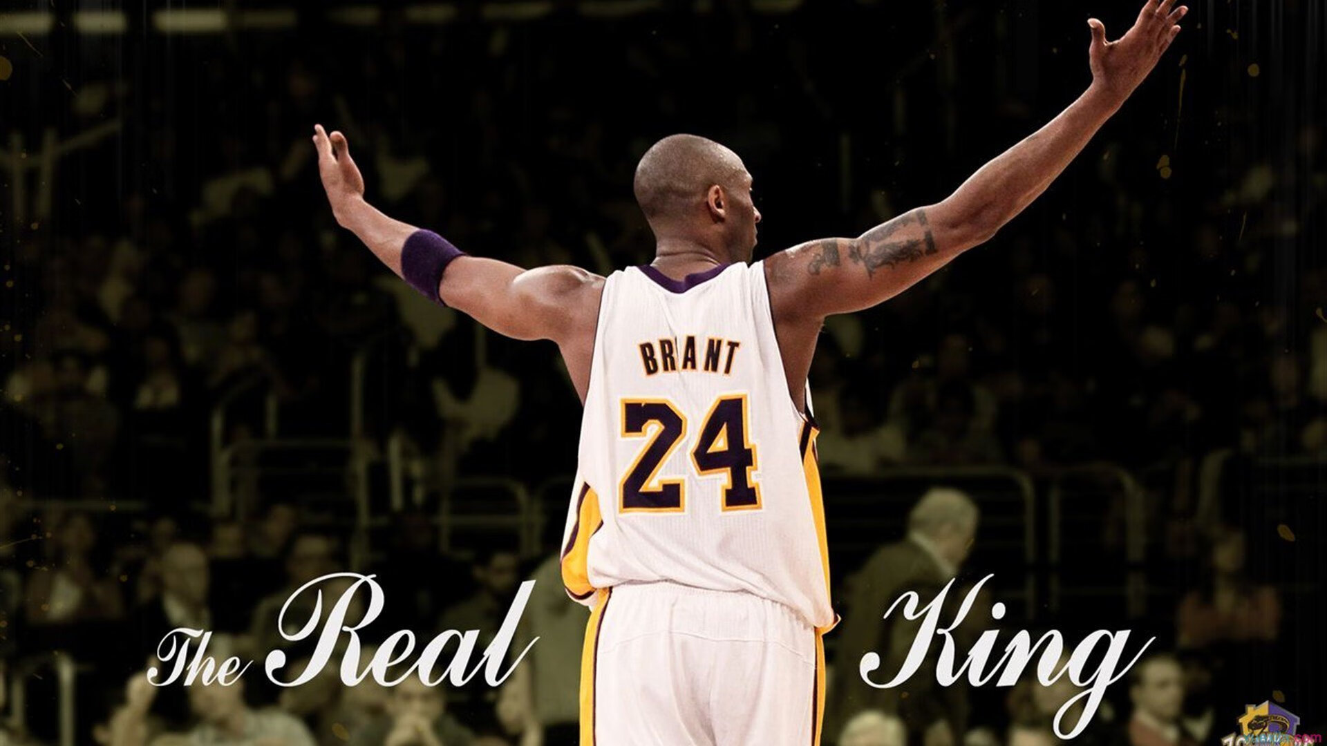 凯尔·查默斯突破自我刷新纪录,查尔斯默里